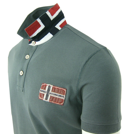 NAPAPIJRI Edenton Herren Men Polo T-Shirt Poloshirt Grün Greenhouse