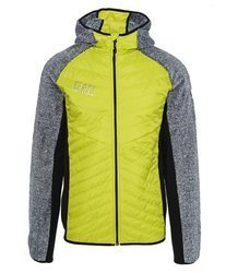 EMPORIO ARMANI EA7 Herren Men Jacke Jacket Sweatjacke Grün Grau