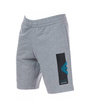 EMPORIO ARMANI EA7 Herren Men Shorts Kurz Hose Sport Jogging Grau
